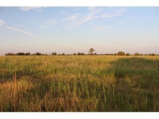 Tract 3 - LAND AUCTION - 440+/- Acres offered in 15 Tracts in Tulsa County